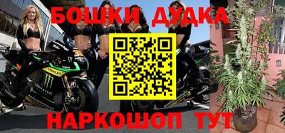 сатива Усть-Джегута